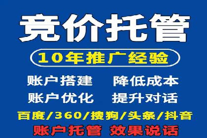 百度推广中的创意策略：成功案例解析与启示
